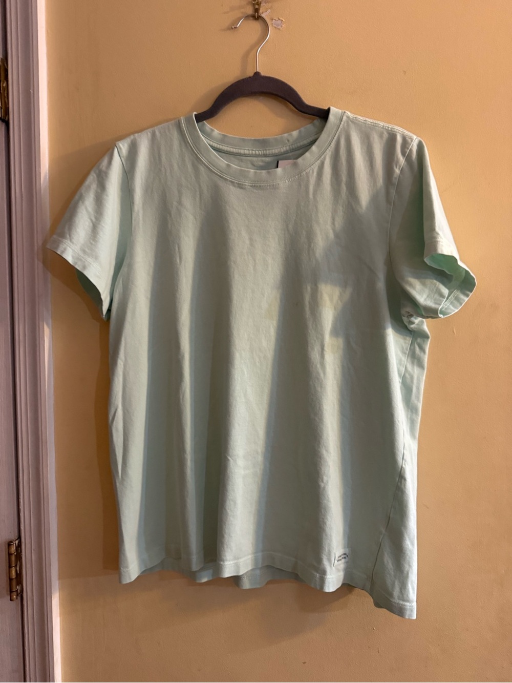 Life Is Good Casual Short Sleeve Tee in Light Mint - large